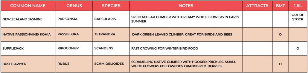 Plant Hawkes Bay climbers plant list