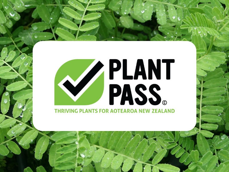 Plant Hawke's Bay is now Plant Pass certified