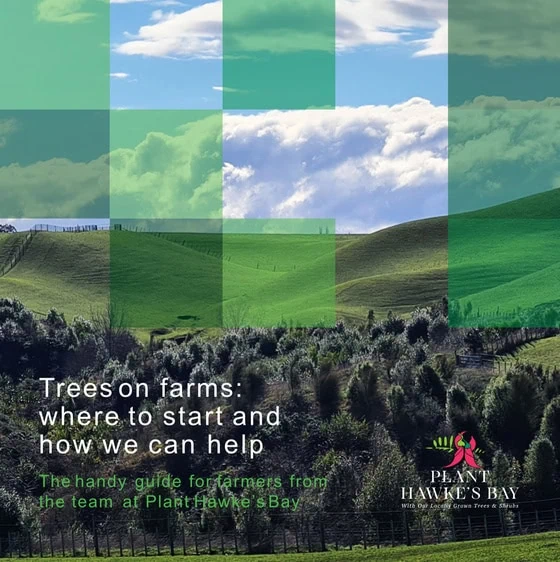 Plant Hawke's Bay guide on where to start with trees on your farm