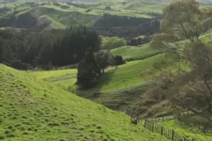 Surviving El Niño weather in 2026