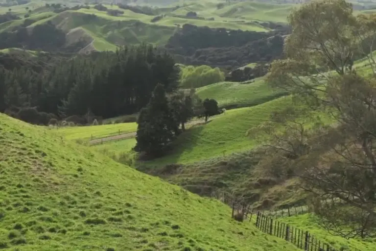 Surviving El Niño weather in 2026